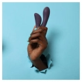 Je Joue Flex Rabbit Vibrator Purple-2340656